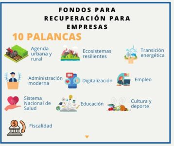 Fondos de Recuperación Europeos, Subvenciones UE