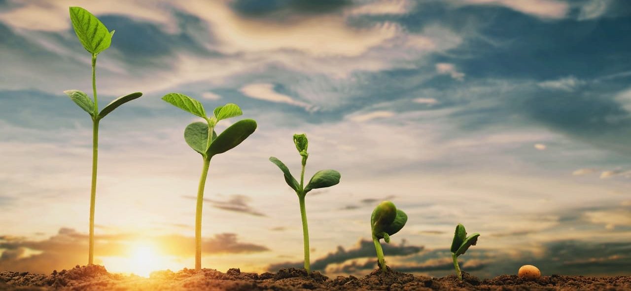 El-estado-de-la-digitalización-en-la-industria-agroalimentaria